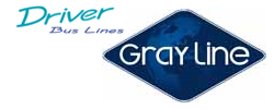 Gray Line - Driver Bus Lines - latest livery